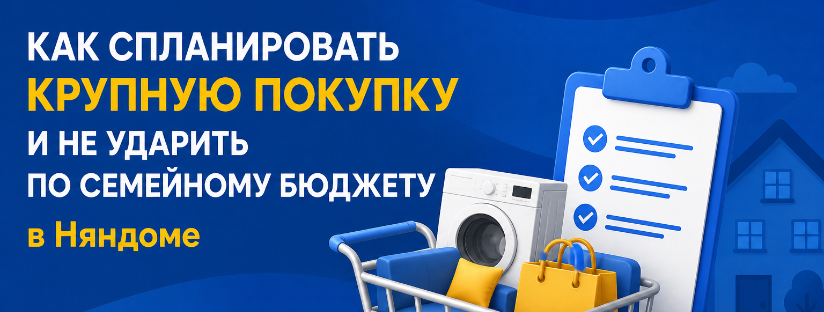 Как спланировать крупную покупку и не ударить по семейному бюджету в Няндоме